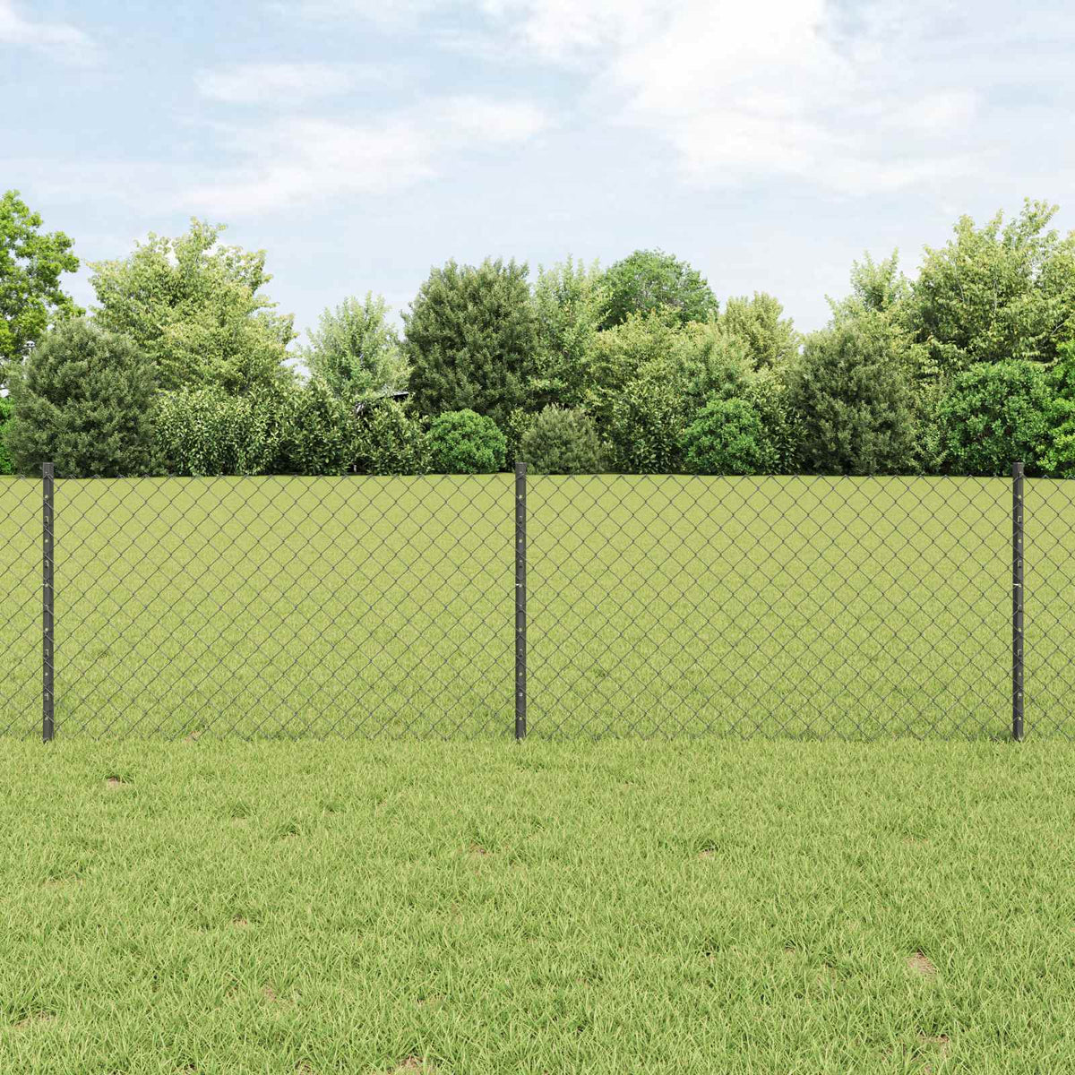 Kæde-link hegn med stolpe 25 x 0,6 m PVC-belagt stål Grå Mesh