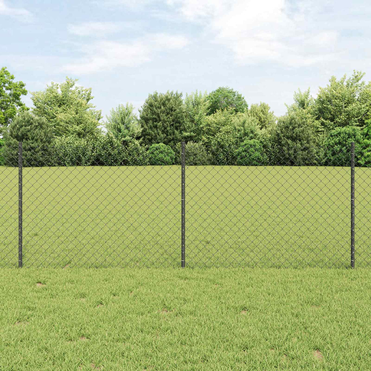 Kæde-link hegn med stolpe 25 x 0,8 m PVC-belagt stål Grå Mesh