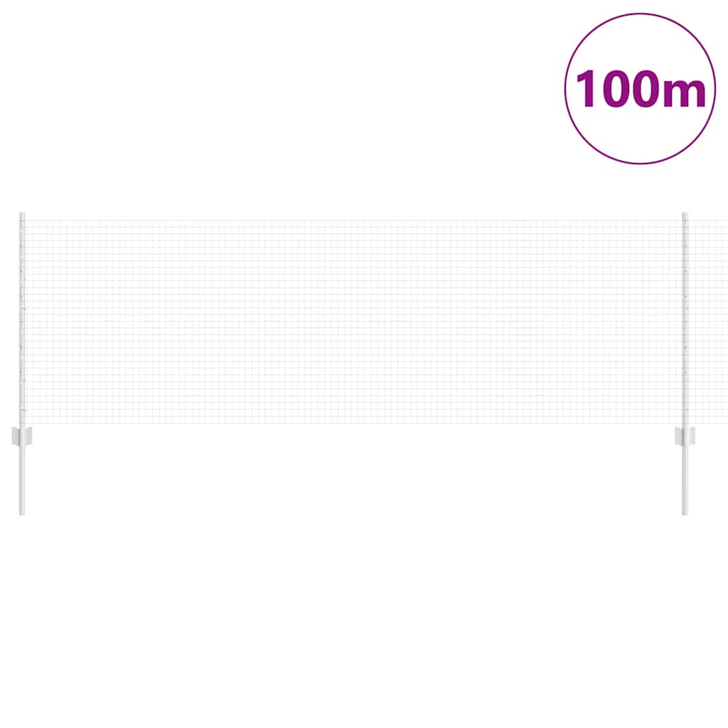 Svejsede trådhegn med stolper 100 x 0,8 m Galvaniseret stål