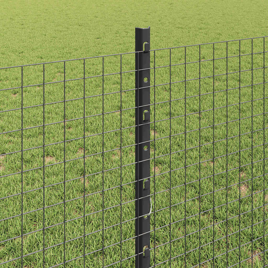 Svejsede trådhegn med stolper 10 x 0,8 m PVC-belagt stål Grå