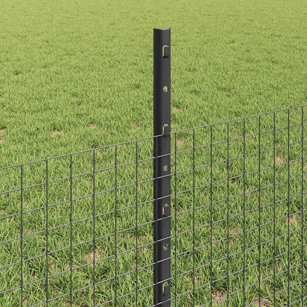 Svejsede trådhegn med stolper 50 x 0,5 m PVC-belagt stål Grå