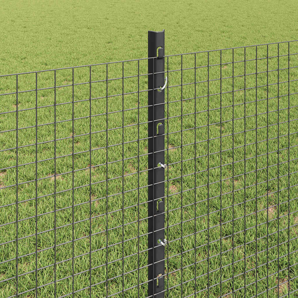 Svejsede trådhegn med stolper 50 x 0,8 m PVC-belagt stål Grå