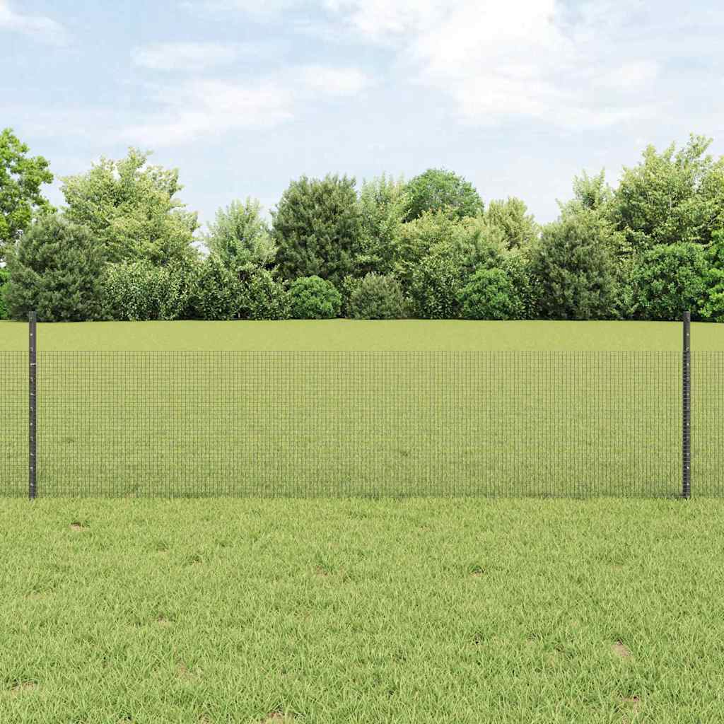Svejsede trådhegn med stolper 100 x 0,5 m PVC-belagt stål Grå