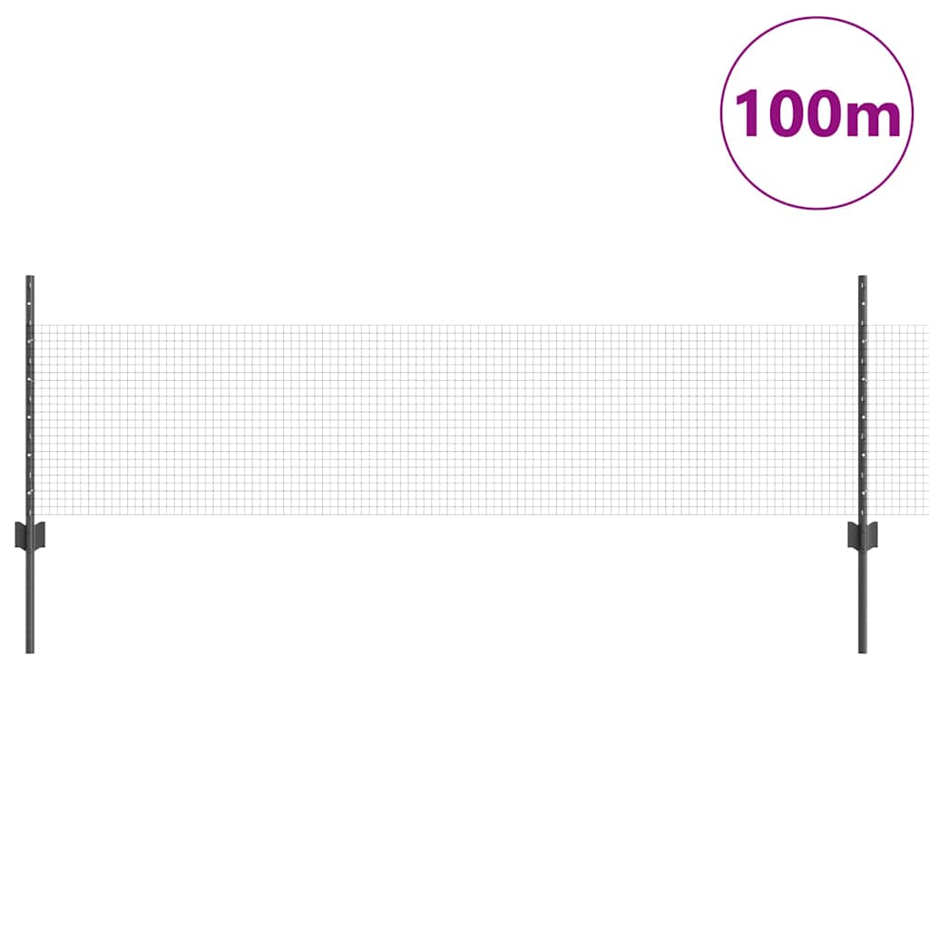 Svejsede trådhegn med stolper 100 x 0,5 m PVC-belagt stål Grå