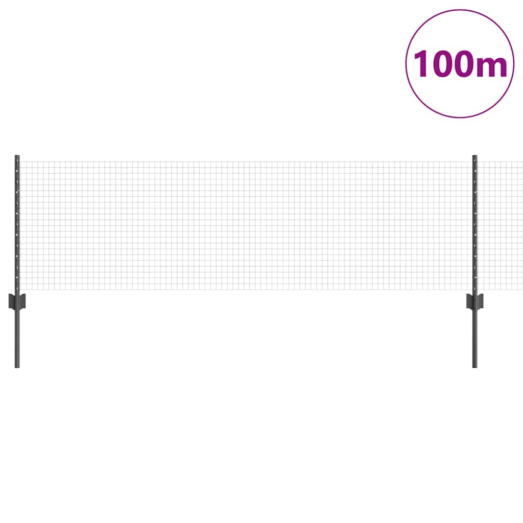 Svejsede trådhegn med stolper 100 x 0,6 m PVC-belagt stål Grå