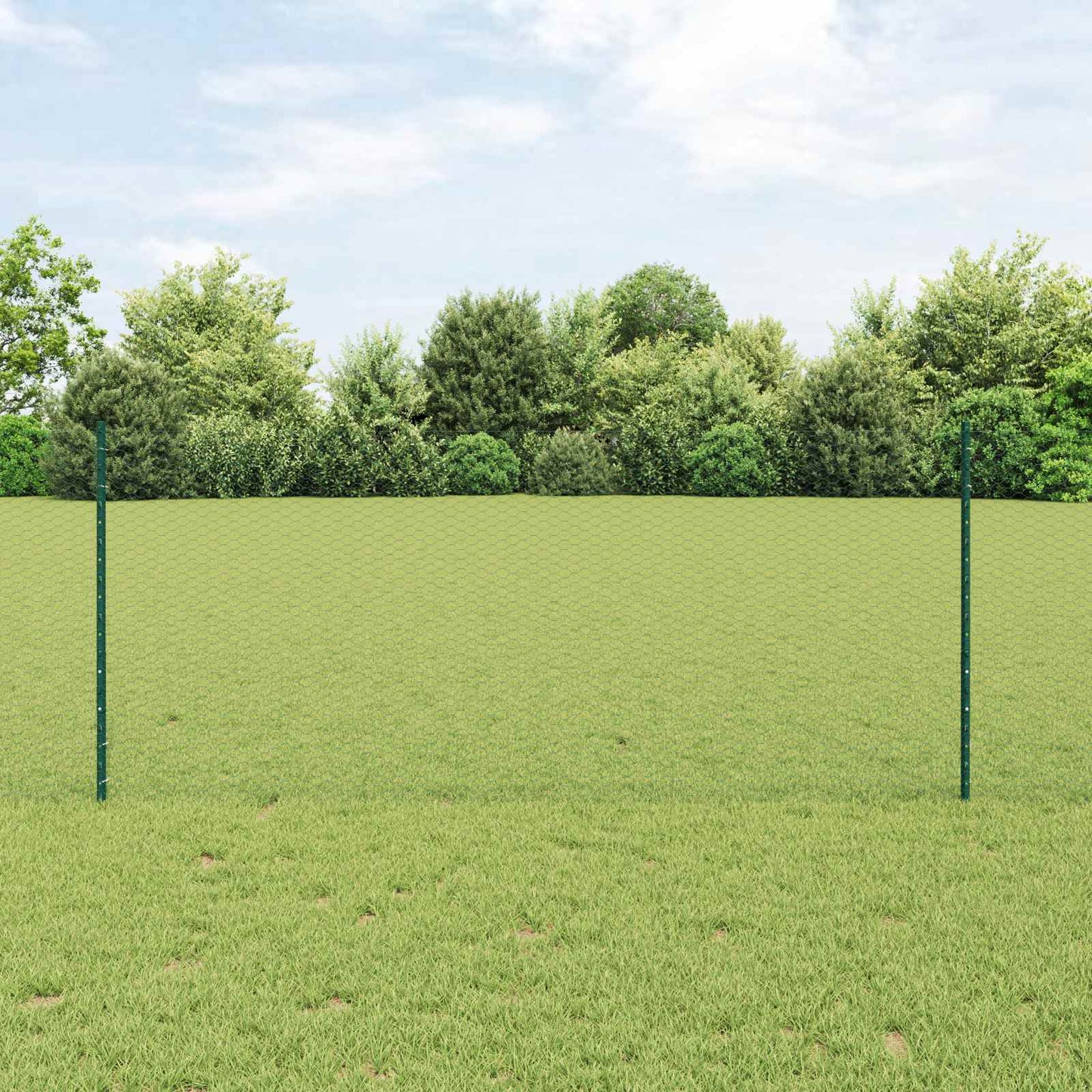 Sekskantet hegn med stolpe 25 x 1 m PVC-belagt stål Grøn Mesh