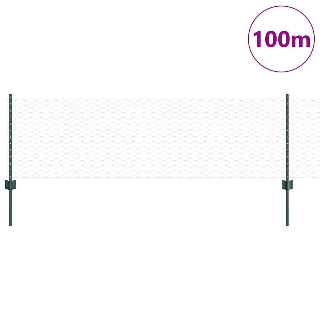 Sekskantet hegn med stolpe 100 x 0,6 m PVC-belagt stål Grøn
