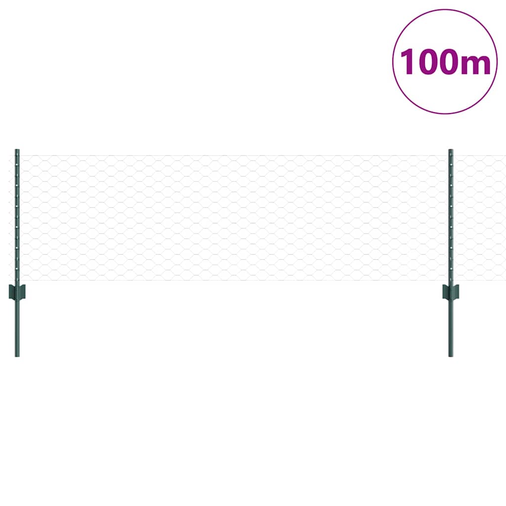 Sekskantet hegn med stolpe 100 x 0,6 m PVC-belagt stål Grøn