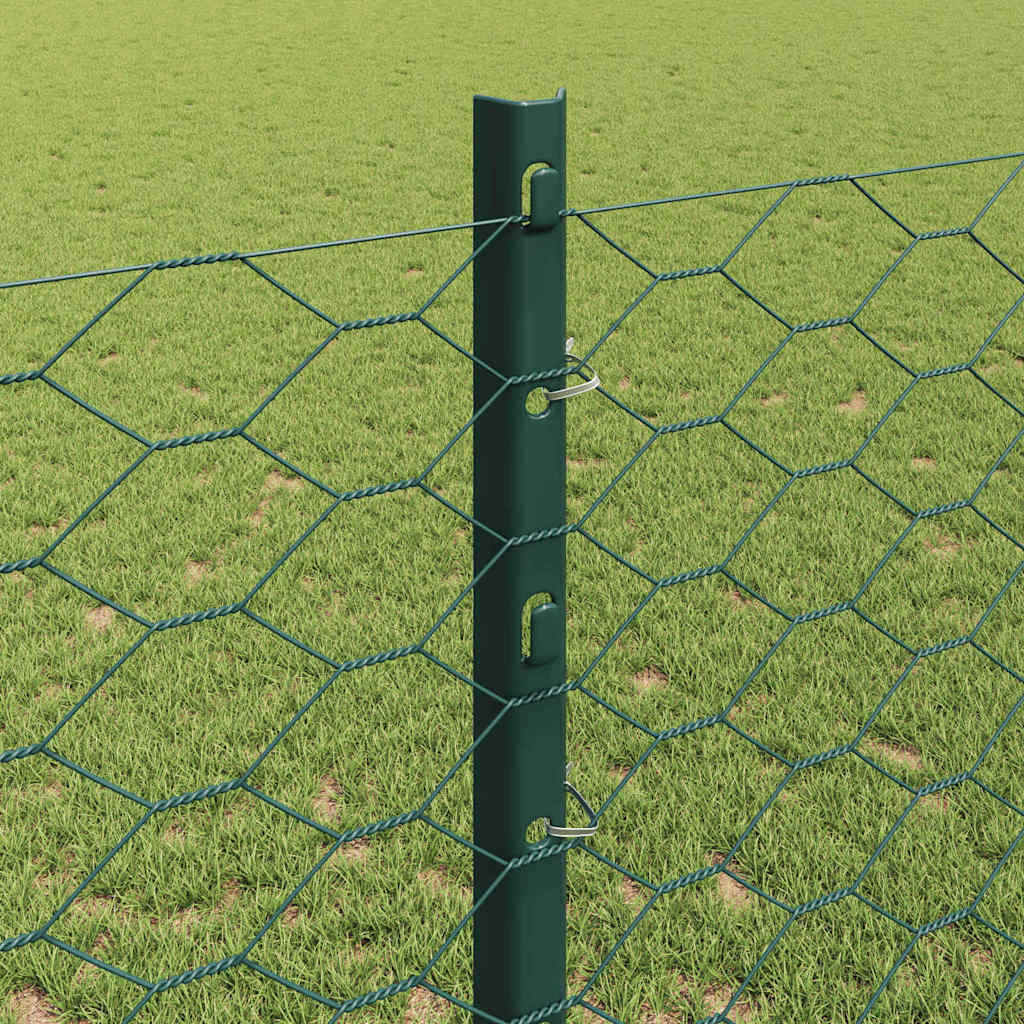 Sekskantet hegn med stolpe 100 x 1,2 m PVC-belagt stål Grøn