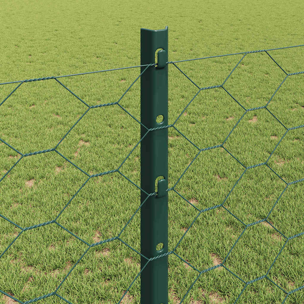 Sekskantet hegn med stolpe 100 x 1,2 m PVC-belagt stål Grøn