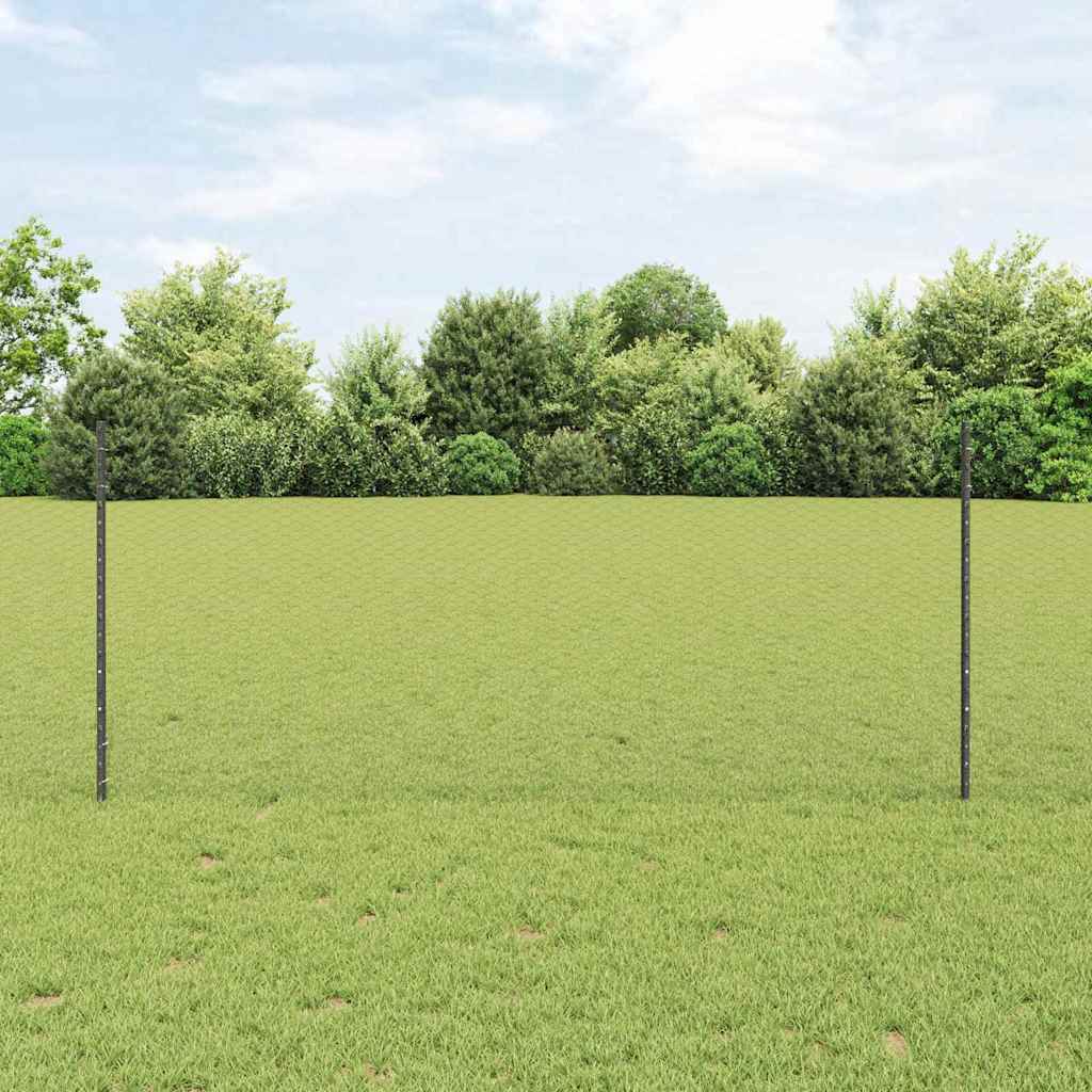 Sekskantet hegn med stolpe 10 x 1 m PVC-belagt stål Grå Mesh