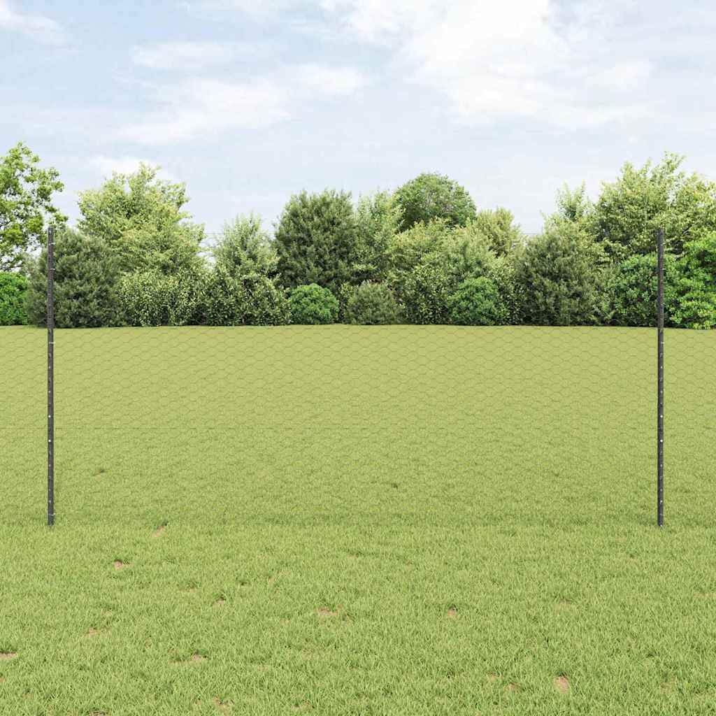Sekskantet hegn med stolpe 10 x 1,2 m PVC-belagt stål Grå Mesh