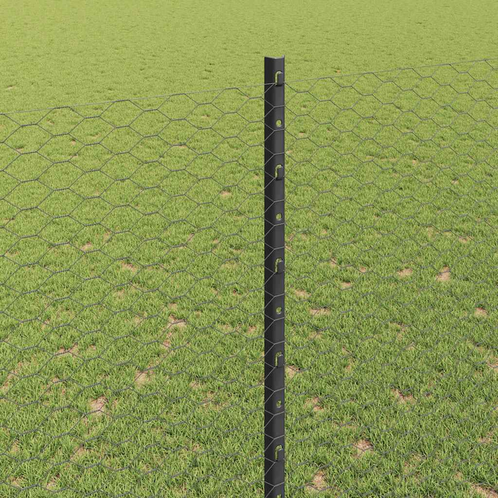 Sekskantet hegn med stolpe 10 x 1,6 m PVC-belagt stål Grå Mesh
