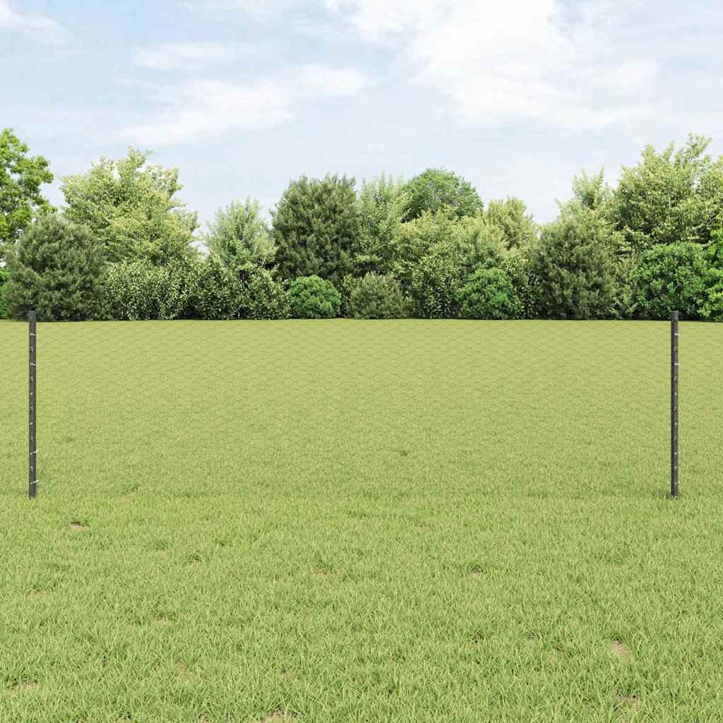 Sekskantet hegn med stolpe 25 x 0,6 m PVC-belagt stål Grå Mesh