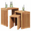 Have Side Bord 3 stk. Brun 33 x 44,5 x 51 cm Massiv Teaktræ