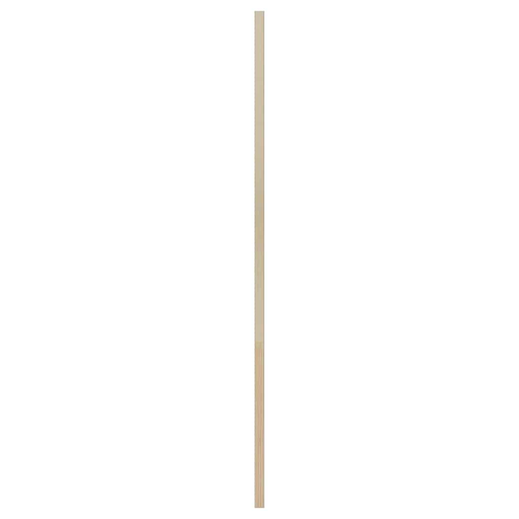 Skabsdør med dør Naturfarvet 110 x 39,5 cm Massivt fyrretræ