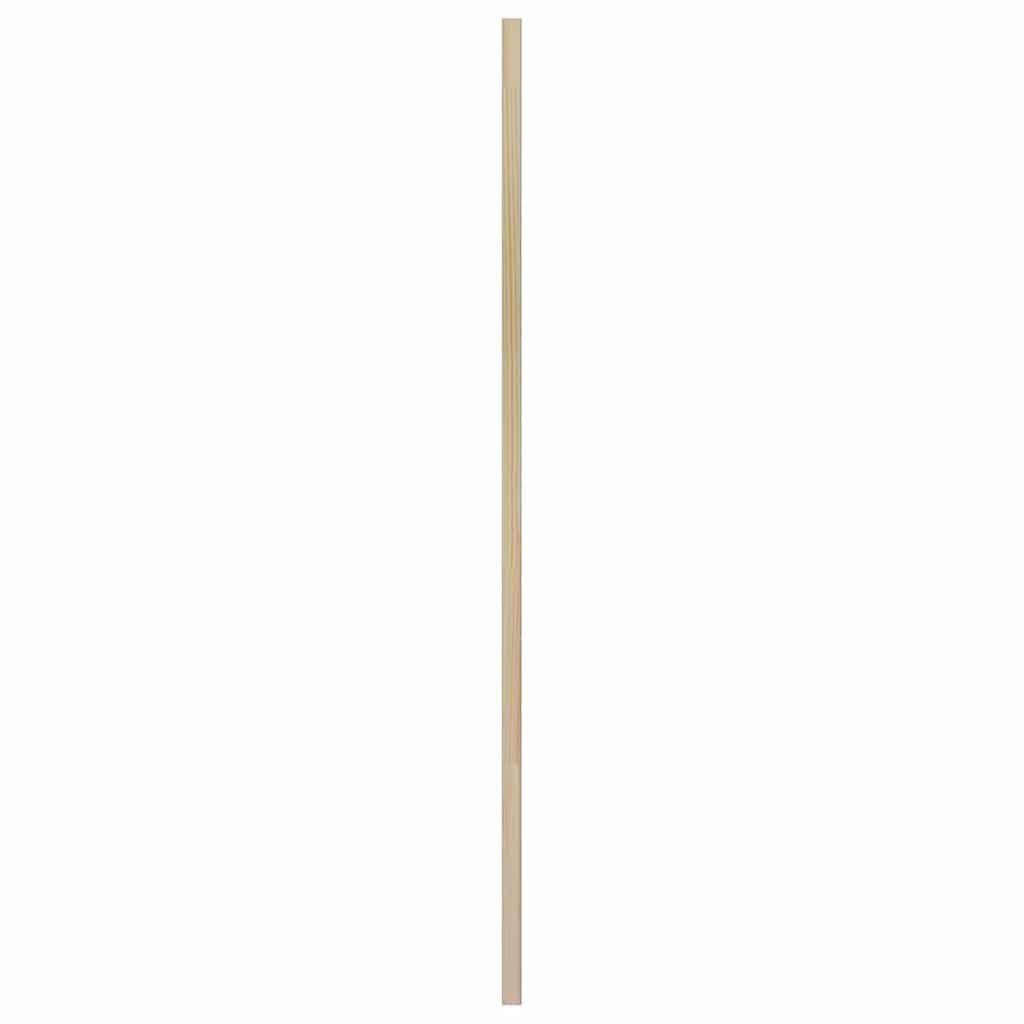 Skabsdør 2 stk. Naturfarvet 110 x 49,5 cm Massivt fyrretræ
