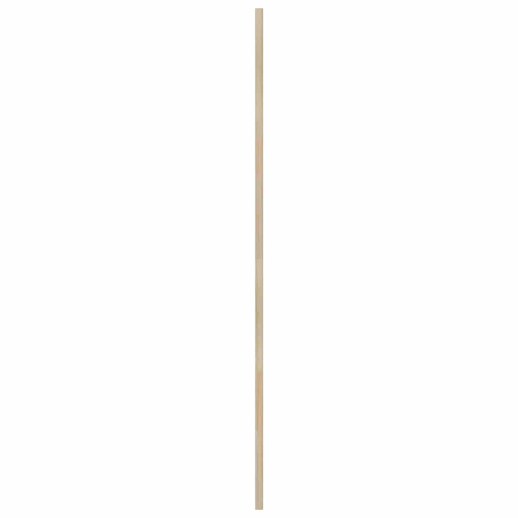 Skabsdør Naturfarvet 140,5 x 59,5 cm Massivt fyrretræ