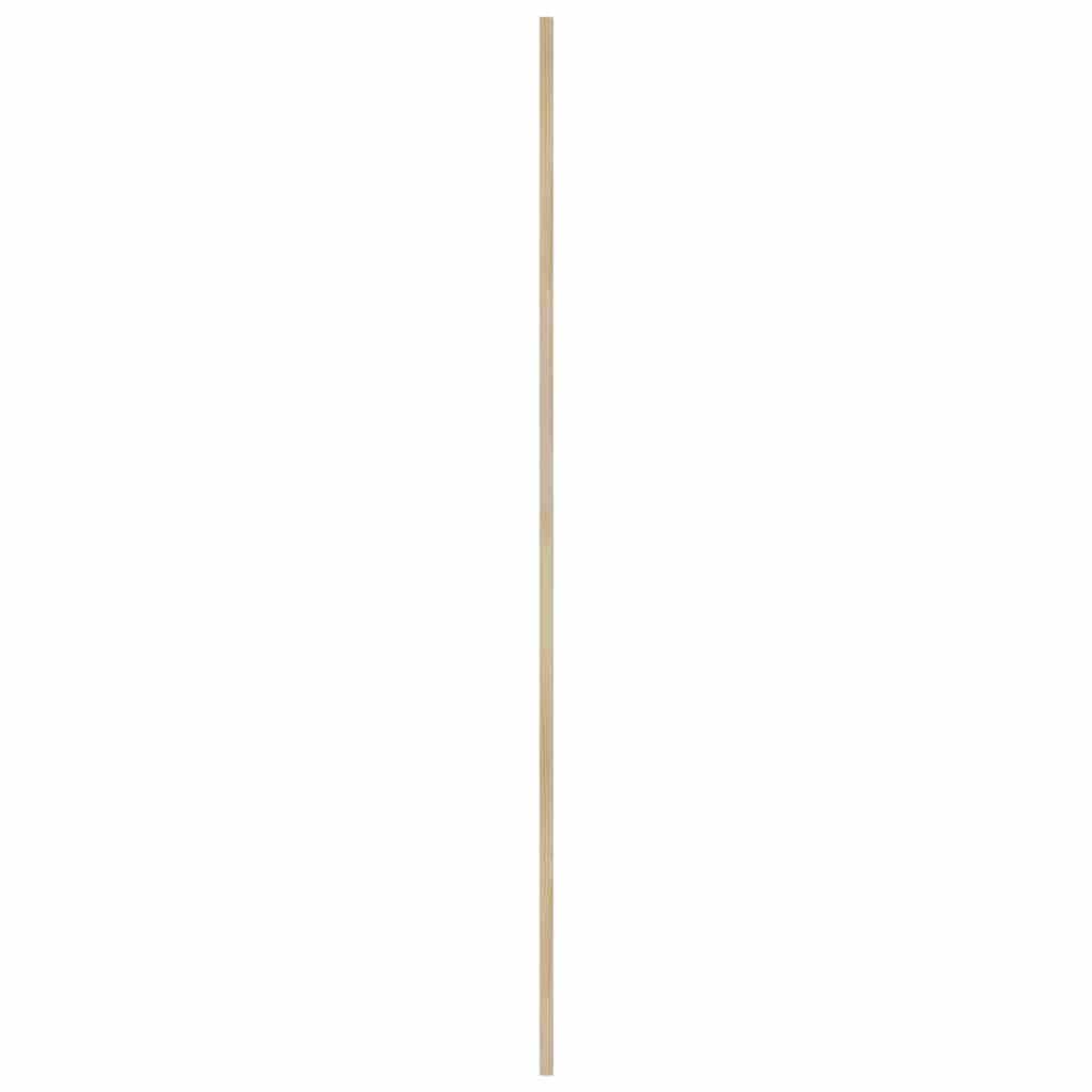 Skabsdør 2 stk. Naturfarvet 170 x 39,5 cm Massivt fyrretræ