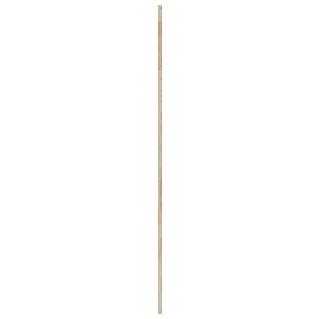 Skabsdør 2 stk. Naturfarvet 170 x 49,5 cm Massivt fyrretræ