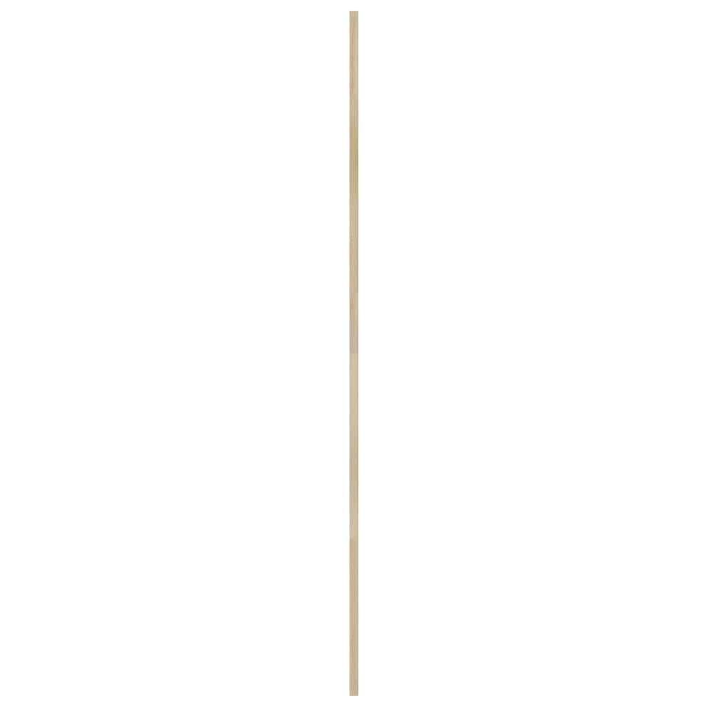 Skabsdør 2 stk. Naturfarvet 170 x 59,5 cm Massivt fyrretræ