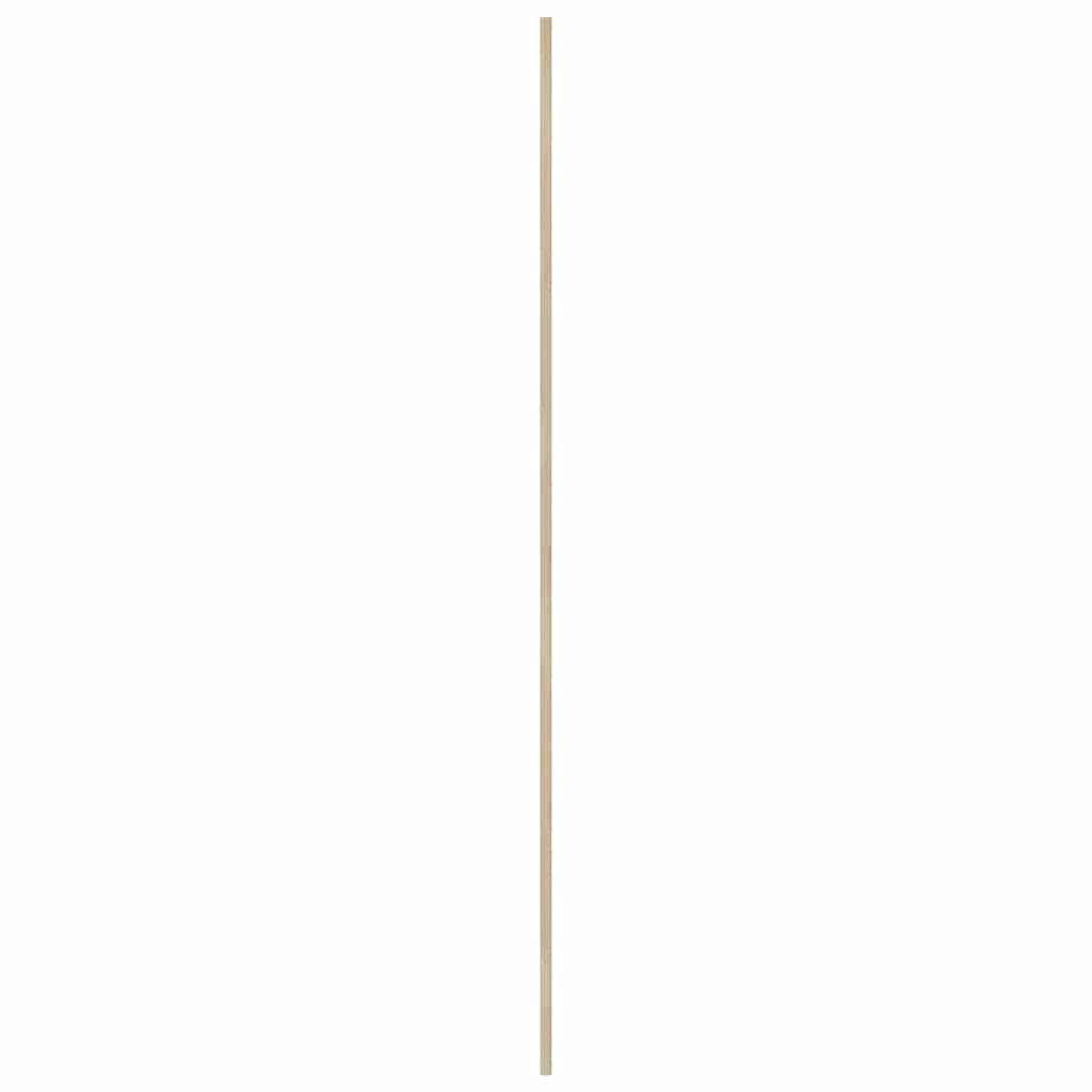 Skabsdør 2 stk. Naturfarvet 201 x 49,5 cm Massivt fyrretræ