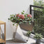 Plantekasse Sølv 50 x 50 x 50 cm Rustfrit stål