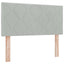 Box spring seng med hovedgærde Lysegrå 200 x 100 cm Fløjl