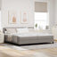 Box spring seng med LED-lysstrimler Gråbrun 200 x 200 cm Stof