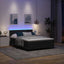 LED Box Spring Bed med LED-lysstrimler Sort 160 x 200 cm Fløjl