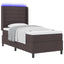 LED Box Spring Bed med madras Mørk Brun 80 x 200 cm Stof