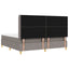 Box spring seng med LED-lysstrimler Gråbrun 200 x 200 cm Stof