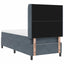 Box spring seng med LED-lysstrimler Mørkegrå 100 x 200 cm Fløjl