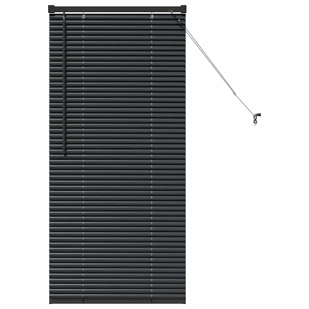 Persienner Sort 60 x 2,5 x 130 cm 25 mm Aluminium