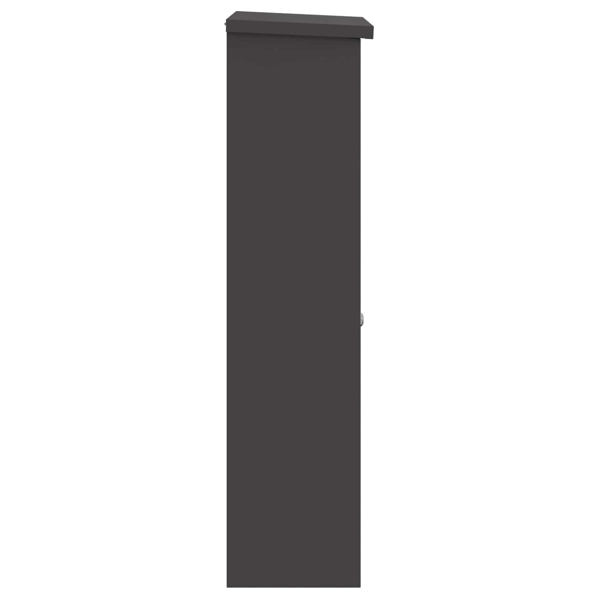 Pakke drop boks med opbevaring Sort 44,5 x 29 x 110,5 cm Stål