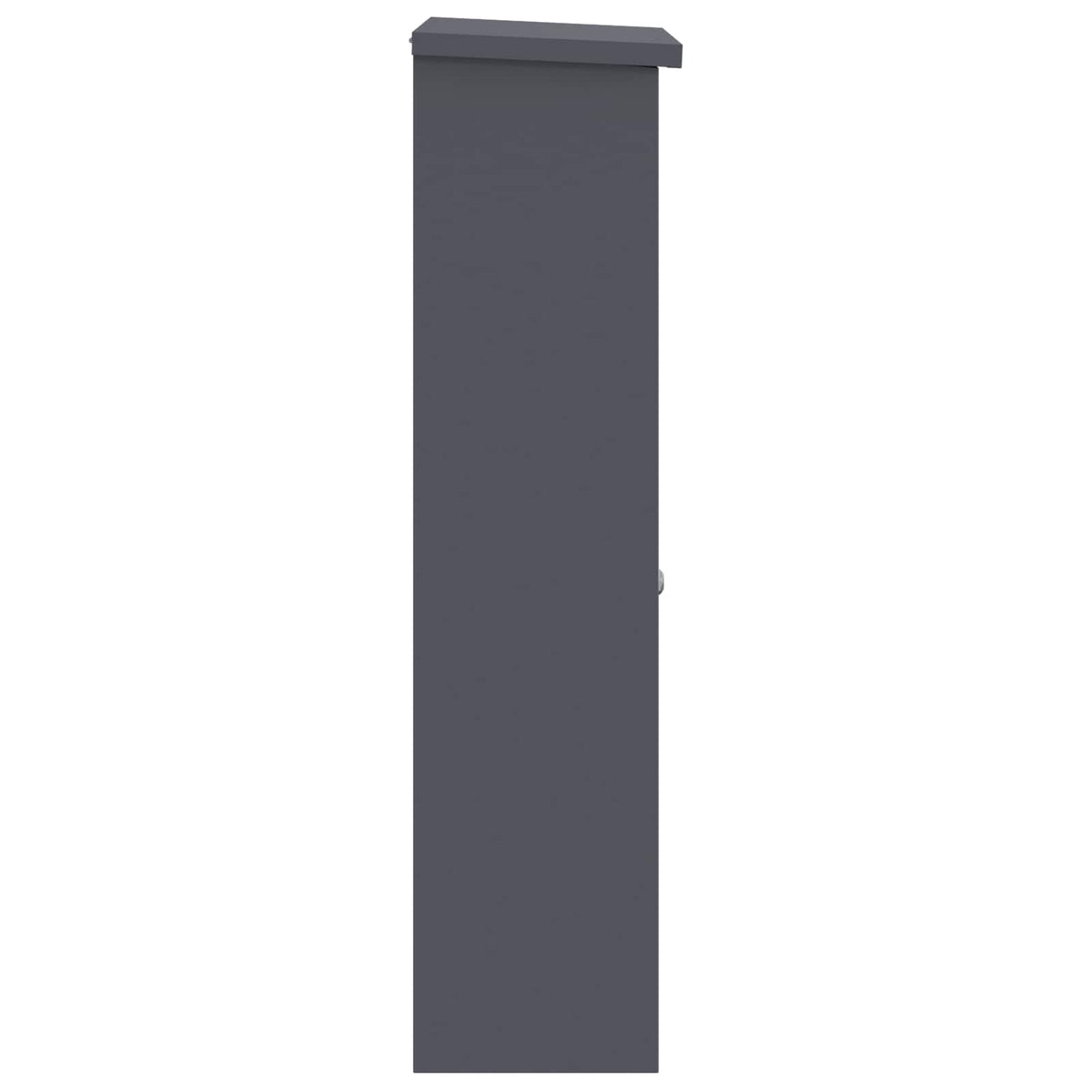 Pakke drop boks med dør Antracit 44,5 x 29 x 110,5 cm Stål