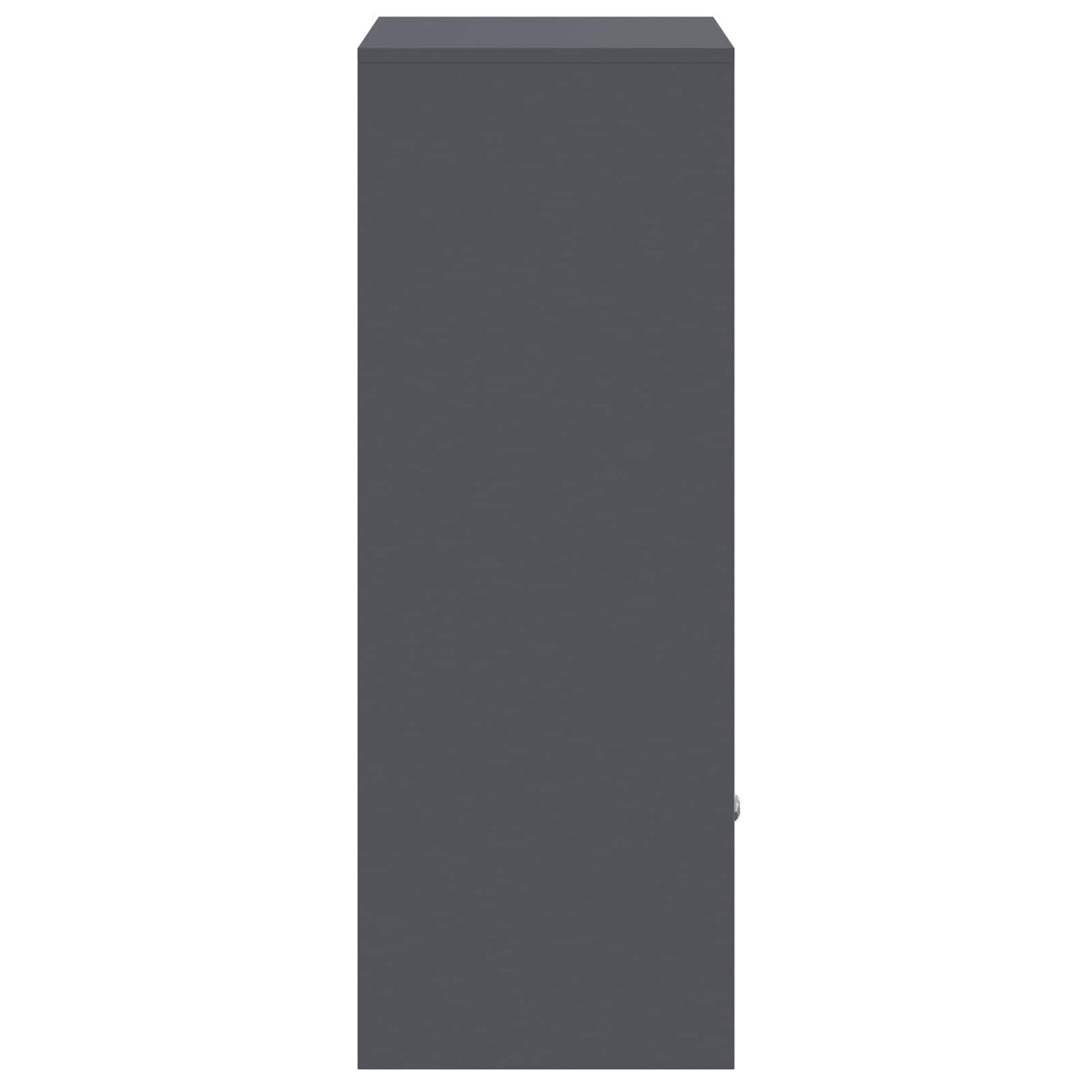 Pakke drop boks med opbevaring Antracit 41 x 38 x 103 cm Stål
