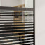 Glasdør 76 x 2 x 205 cm Aluminium Sort