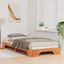 Sengestel Brun 100 x 210 cm Massiv fyrretræ