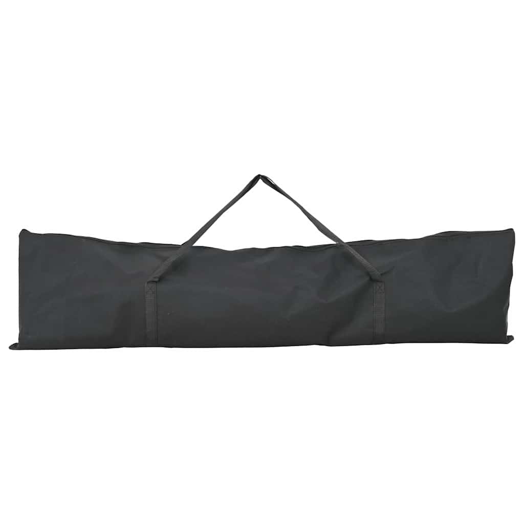 Baseball øvelsesnet Sort 250 x 106 x 209 cm Polyester