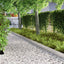 Plænekant 450 x 15 cm Rustfrit stål Sølv