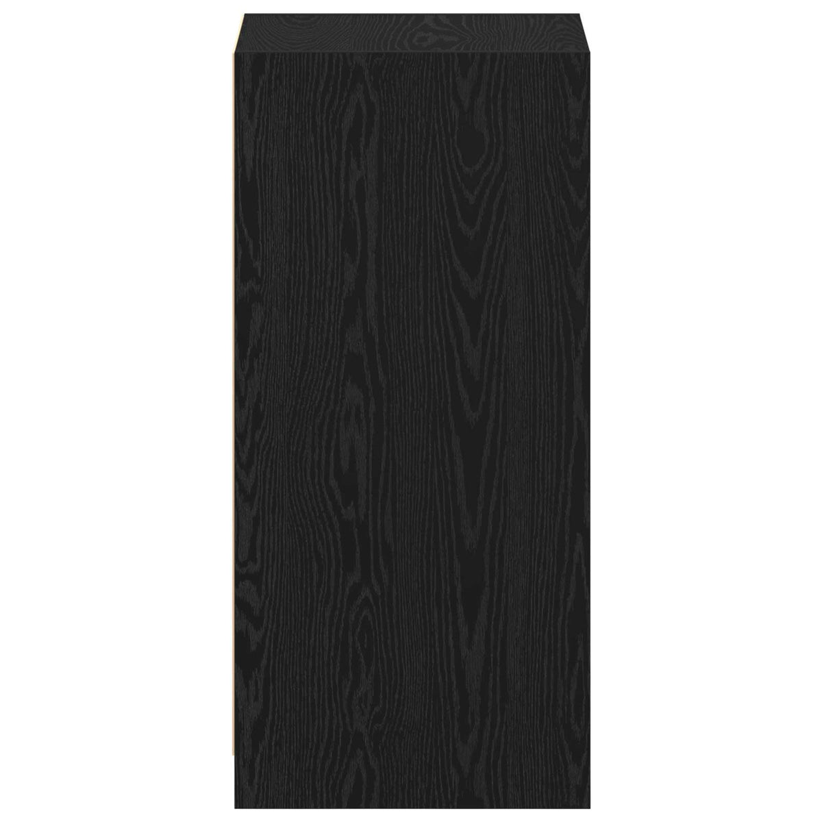 Garderobeskab Sort eg 41 x 48 x 102 cm Konstrueret træ