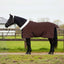 Hestetæppe Mørkebrun 75 cm Polar fleece