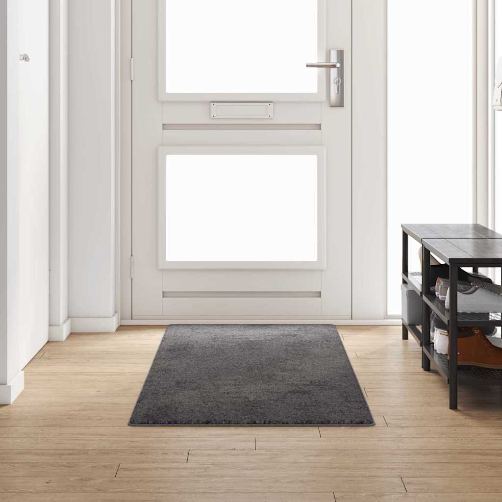 Tæppe Runner Grå 80 x 250 cm 100% Polypropylen Tuft