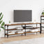 TV-skab Gammelt træ 160 x 30 x 50 cm Ingeniørt træ og jern