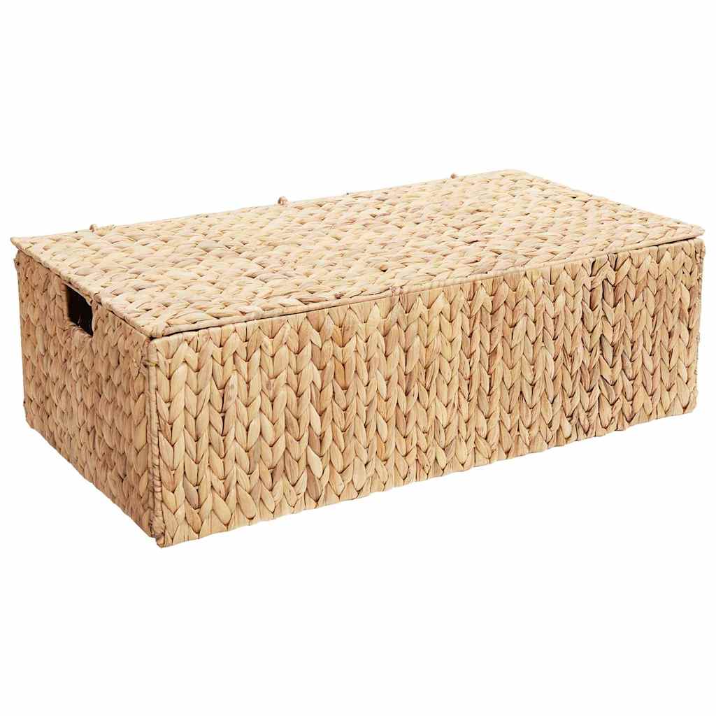 Opbevaringskasse Naturfarvet 60 x 38 x 20 cm Vandhyacint