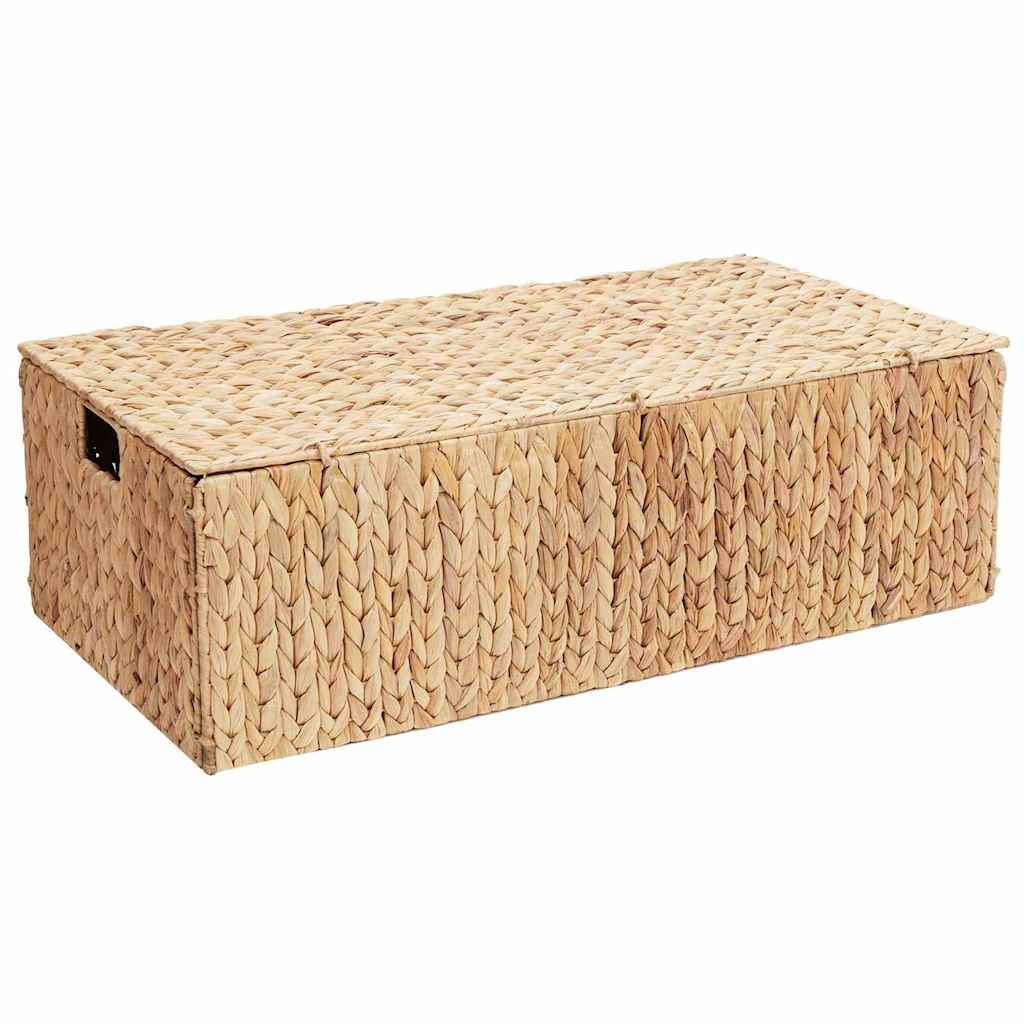 Opbevaringskasse Naturfarvet 60 x 38 x 20 cm Vandhyacint