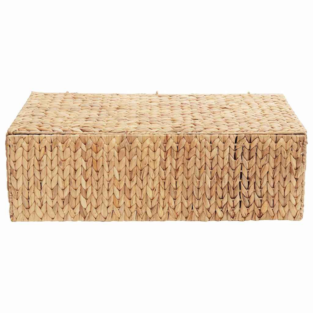 Opbevaringskasse Naturfarvet 60 x 38 x 20 cm Vandhyacint