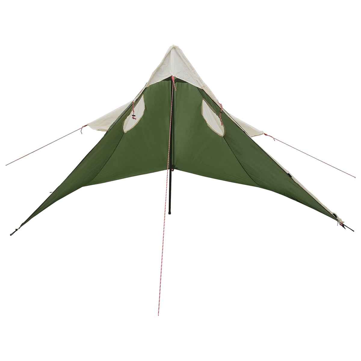 2-i-1 regnponcho med hætte 262 x 126 x 130 cm Grøn