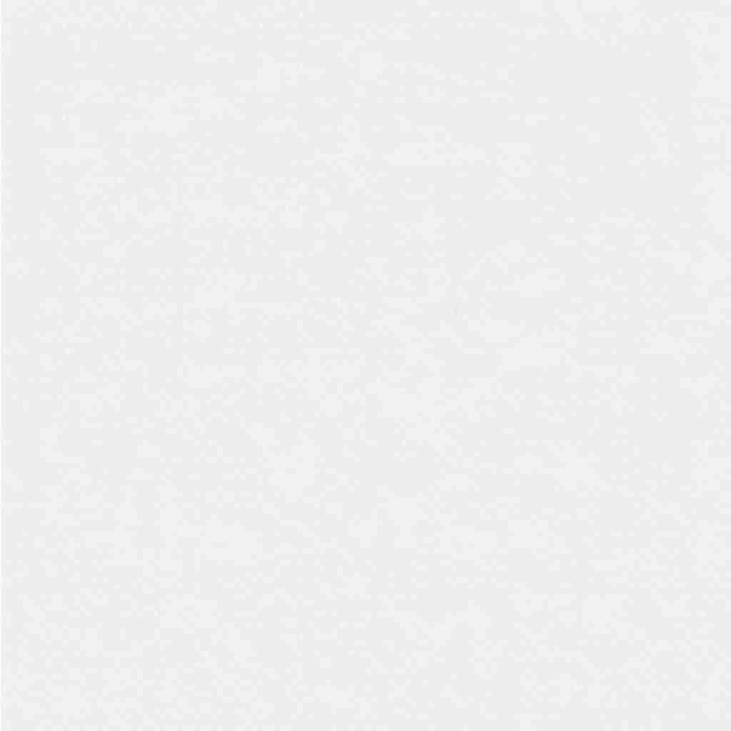 Frostbeskyttelsesplante fleece Hvid 100 x 1,6 m Non-woven stof